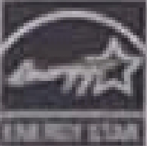 Star Logo